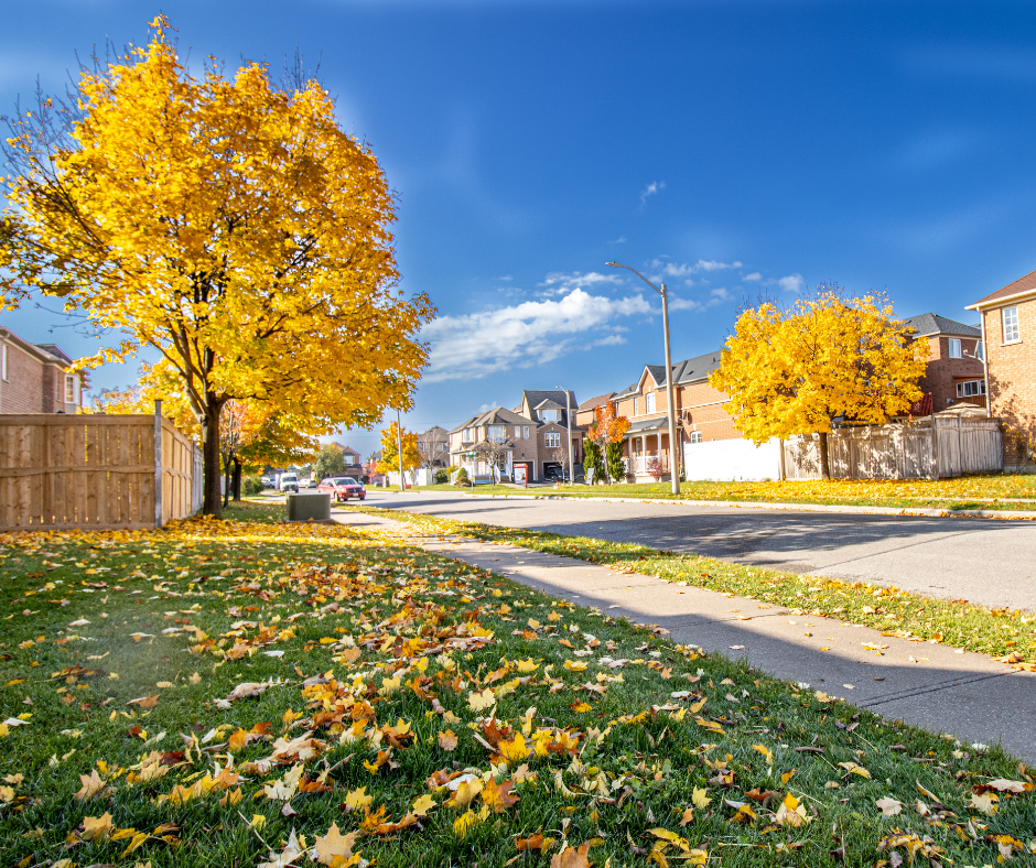 Interlocking Services in Brampton, ON., interlocking brampton, landscape contractor in brampton, driveway replacement in brampton, milton stone