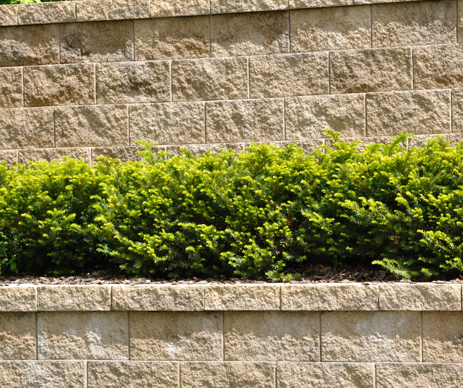 toronto retaining wall expert, retaining wall build in greater toronto