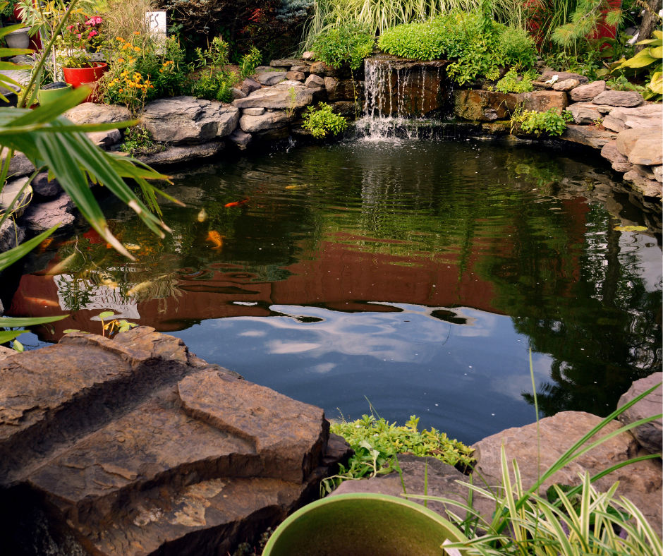 Milton Stone pond design & construction design