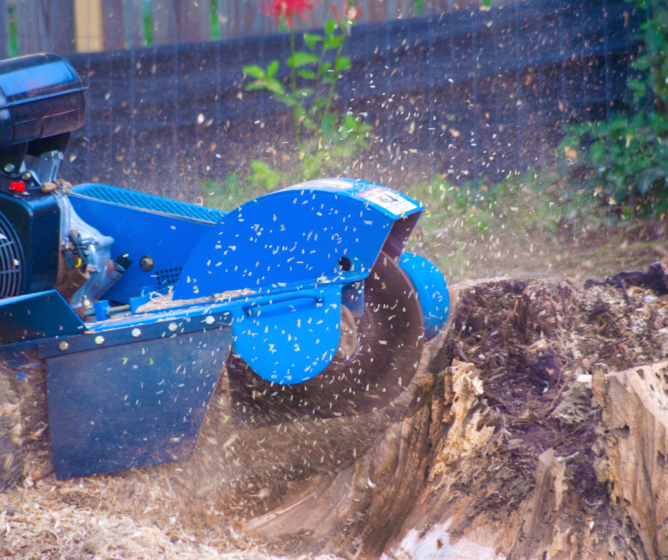 Tree Stump Grinding Services in Oakville and Toronto and GTA by MILTON STONE landscaping company in gta