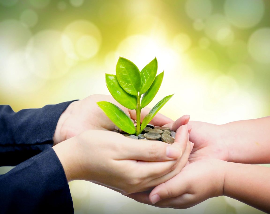 Milton Stone landscaping and construction referral program