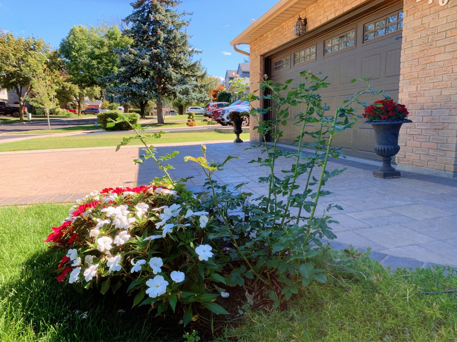 Driveway and landscaped entrance in Milton