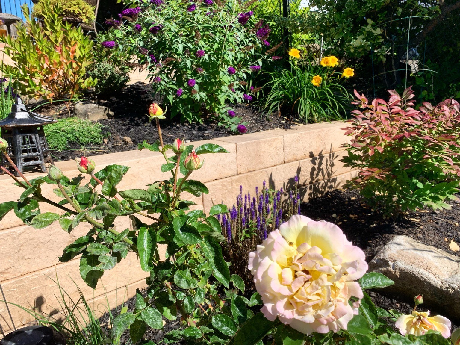 Flower garden above retaining wall in Milton